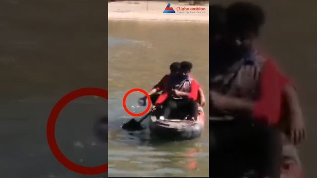 Lake Larvicidal Treatment in Dubai смотреть онлайн