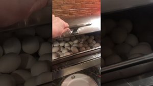 Отель Sharjah Carlton 4*