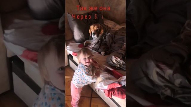 #бигль нянька ? #рекомендации #рек #топ #собака