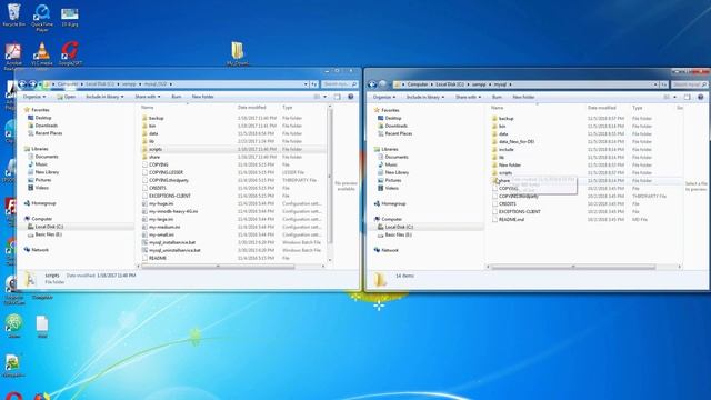 How to Update MySQL (MariaDB) in XAMPP Local Server