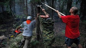 Эта находка вызвала сначала радость, а потом слезы..