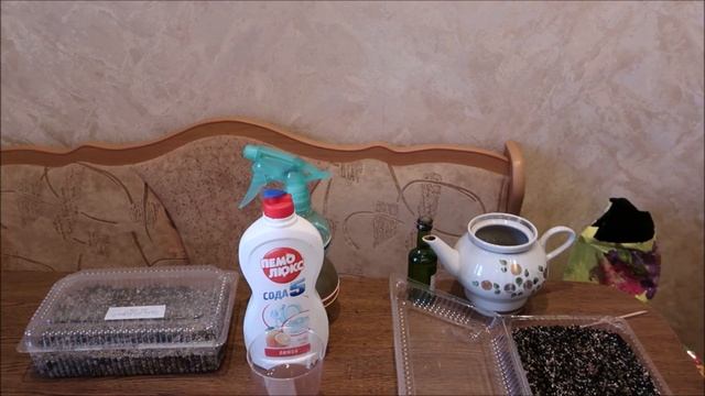 ПЕТРУШКА И СЕЛЬДЕРЕЙ. КАК УСКОРИТЬ ВСХОЖЕСТЬ СЕМЯН В ТРИ РАЗА смотреть онлайн