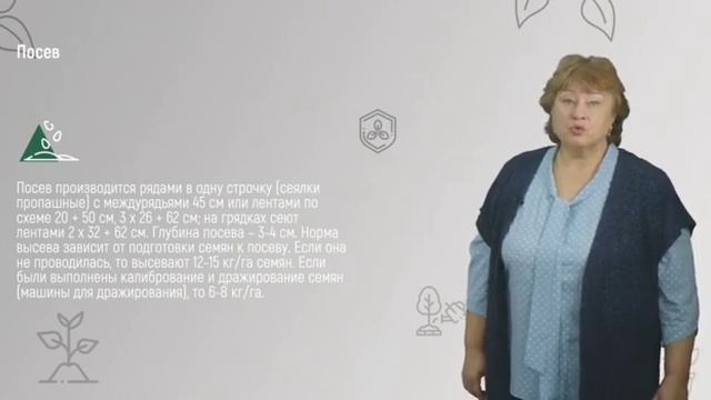 8 2  Технология возделывания сахарной свеклы