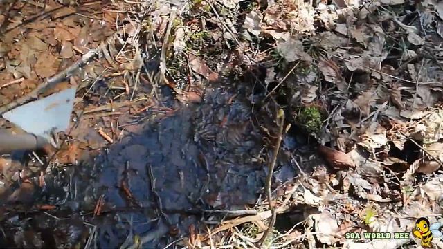 Посадка медоносов. смотреть онлайн