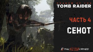 Прохождение Shadow of the Tomb Raider | Часть 4 | СЕНОТ | 4K 60FPS