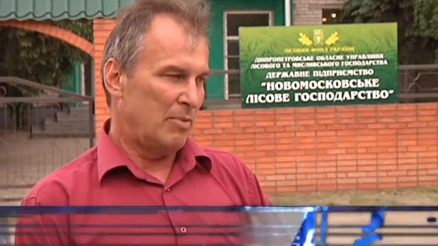 Леса Орловщина уничтожает сосновый пилильщик смотреть онлайн