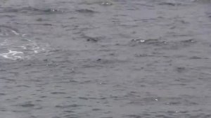 Санаторий Форос. Пляж. Море.