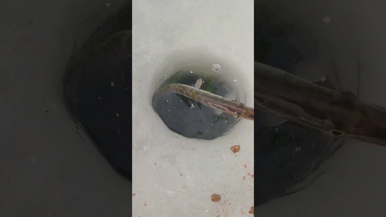 Датуйте! смотреть онлайн