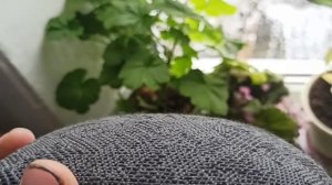 Вторая жизнь очень грязного подлокотника с Волги 3110, 31105. волга как очистить подлокотник с волг
