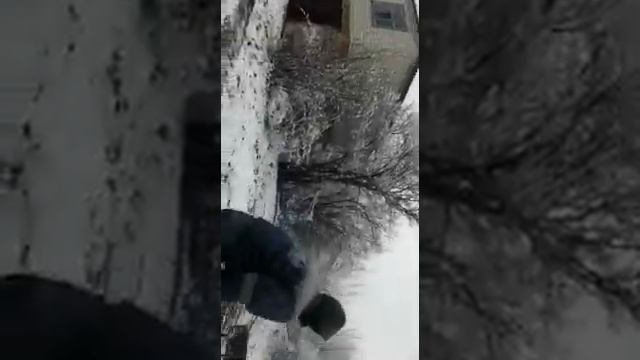 Как сделать ловушку своими руками.lovushka Svoimi Rukami.