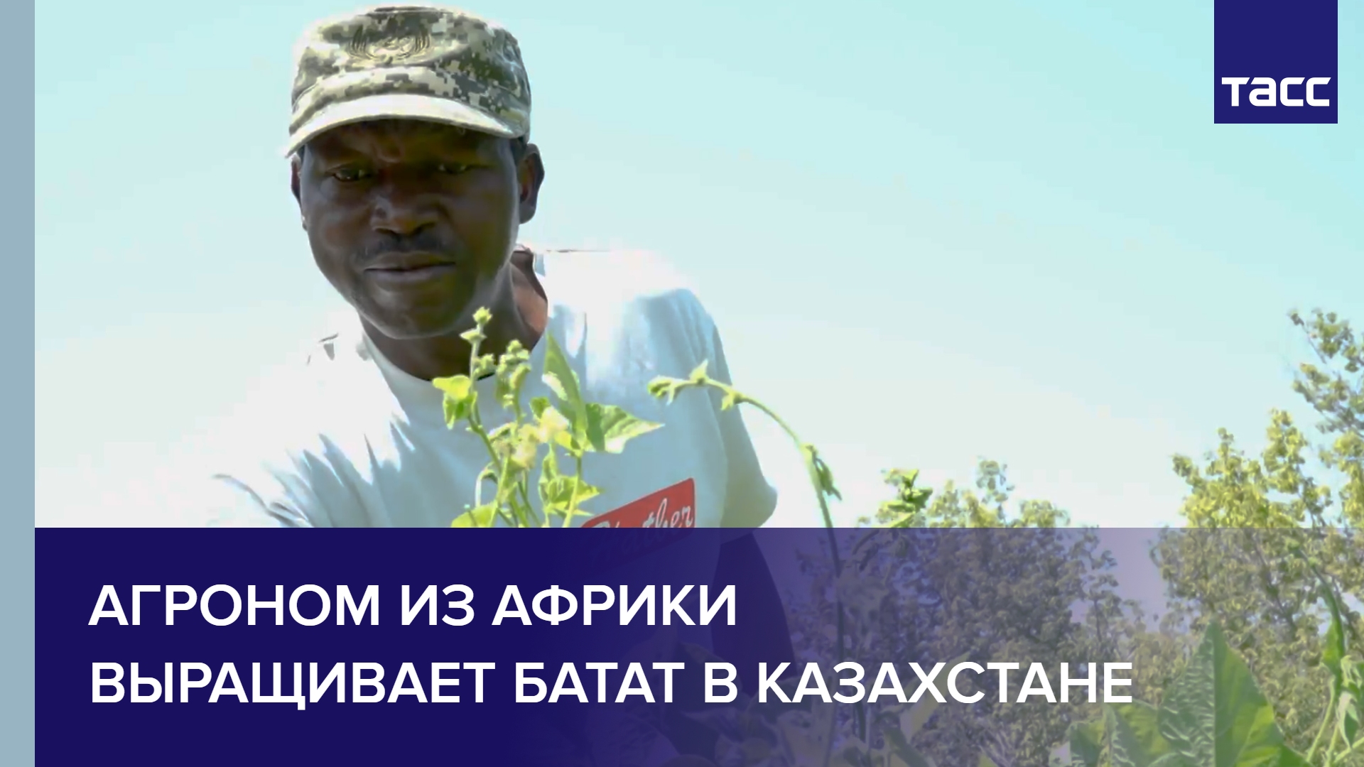 Агроном из Африки выращивает батат в Казахстане