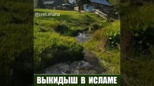 Выкидыш  исламе