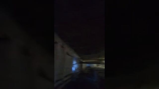 Побелка свинарника часть 2