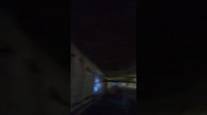 Побелка свинарника часть 2