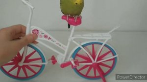 Попугайчик Гоша катается на велосипеде☺️?.