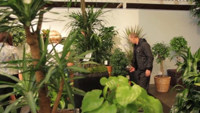 7ЦВЕТОВ - впервые выставка цветов и растений!