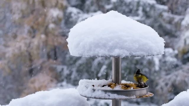 Зимнее Солнцестояние - важное событие, которое изменит жизнь.