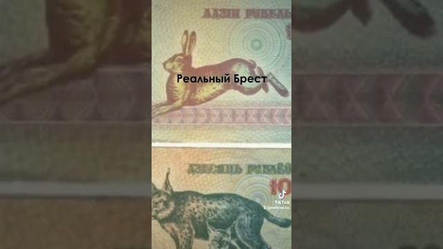 Первые белорусские деньги — появились 30 лет назад