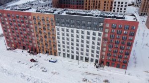 Середневский лес после снегопада ❄️❄️❄️