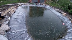 Зарыбление домашнего пруда! Запускаем карася.