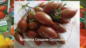 Лучшие детерминантные сорта томатов