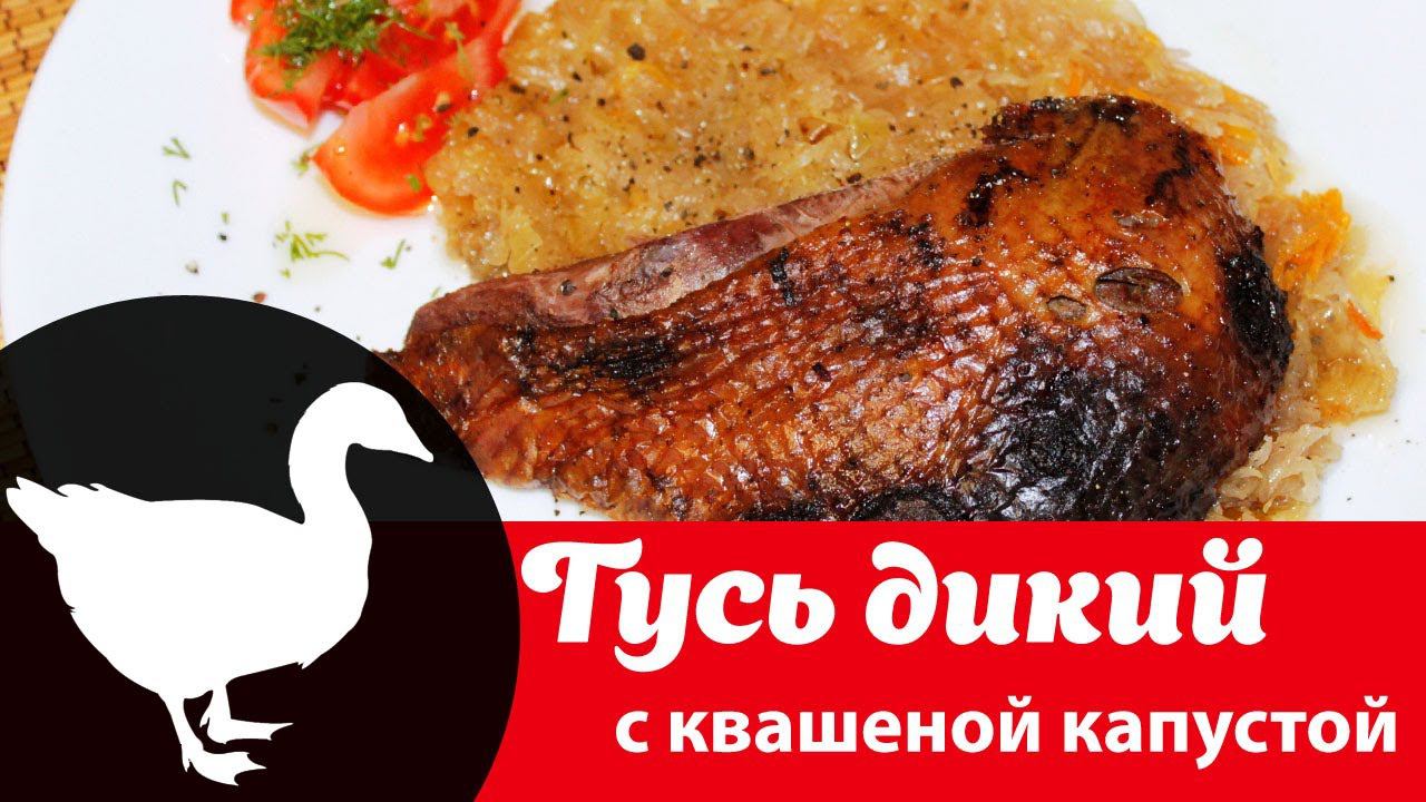 Видео рецепт блюда из дичи: как запечь дикого гуся на квашеной капусте в духовке целиком в фольге