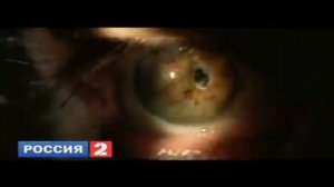 Смена логотипа и оформления (Россия-1, 01.01.2010)