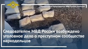 Следователем МВД России возбуждено уголовное дело о преступном сообществе наркодельцов