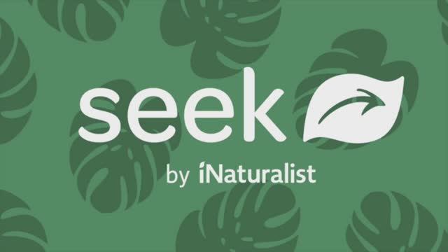 Seek - приложение для определения растений. Алефиров А.Н.