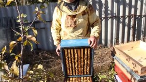 На Пасеке больше 200 семей Карника✅ Вадим Петриченко Хорольский р-н