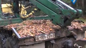 Ремдовский заказник