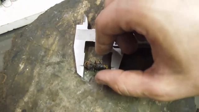 Горький опыт установки поршневой.