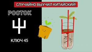 Как ЛЕГКО запомнить РОСТОК, ПОБЕГ на китайском языке? 屮 chè Ключ 45.