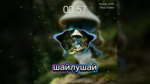 полная песня шайлушая