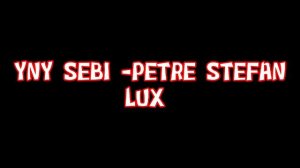 (Speed Song)YNY SEBI X PETRE STEFAN - LUX