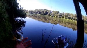 Отчёт с рыбалки. Рыбалка на Дону.