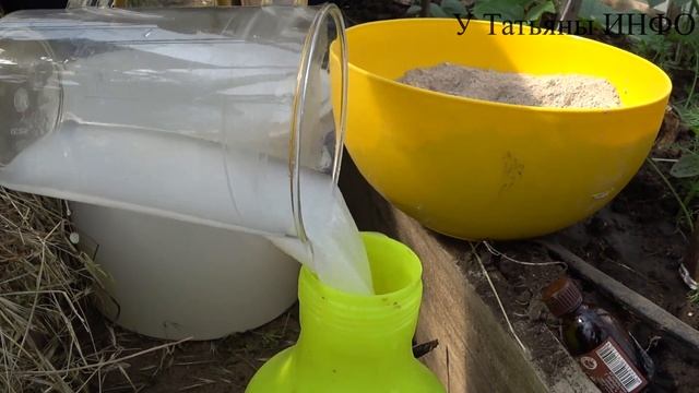 СРОЧНО дайте ОГУРЦАМ МОЛОКО + ЙОД потом БУДЕТЕ ДУМАТЬ КУДА ИХ ДЕВАТЬ! смотреть онлайн