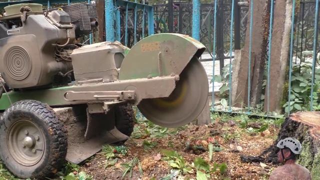 Помогли удалить пень на участке кладбища в Кольчугино