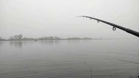 ВОБЛА ИДЕТ ПОЛНЫМ ХОДОМ. ЛОВИМ КРУПНУЮ ВОБЛУ.