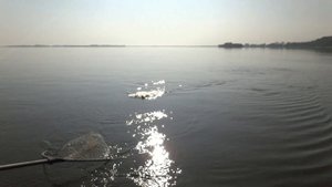Рыбалка на Амуре. Спиннинг с катушкой Нельма. Оснастка со стримером (мухой).