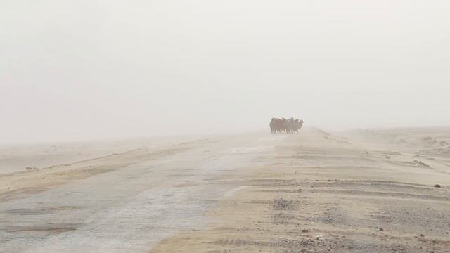 Одиночное мотопутешествие В Казахстан и Дагестан из Брянской области. На мотоцикле к свободе.