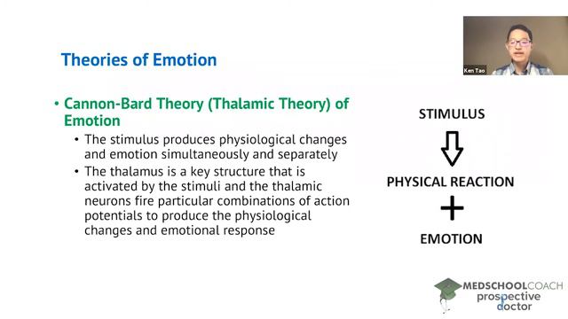 Cannon-Bard Theory of Emotion