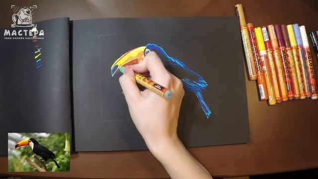 Тукан | Скетчинг акриловыми маркерами