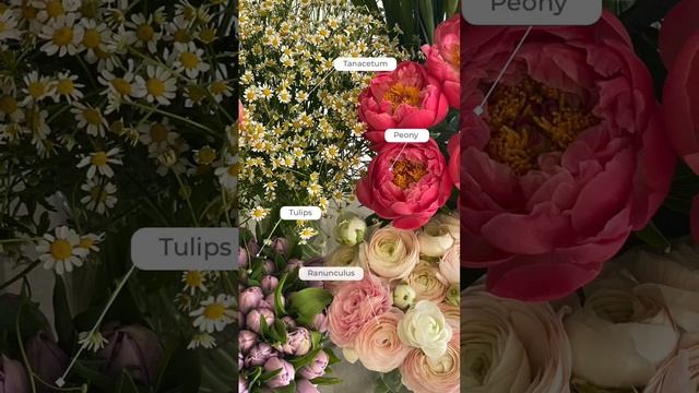 Один день флориста #флористика #школафлористики #курсыфлористики #флористикадляновичков