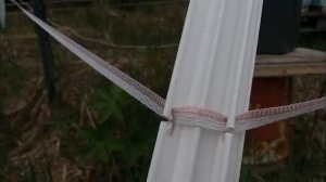 Электропастух на солнечной батарее, защита пасеки