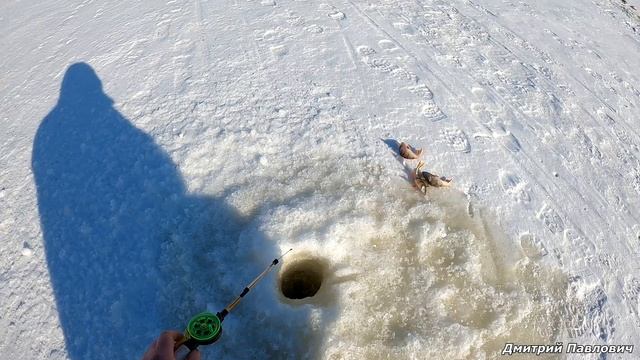 РЕЗИНКА ВМЕСТО ОПАРИКА И НИКАКОГО ПРИКОРМА! Ловля рыбы зимой на мормышку!