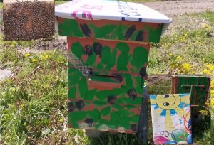 Ловушка для пчел  своими руками, красим, обжигаем, делаем продухи, крышу. Пчёлы, пасека, мед.