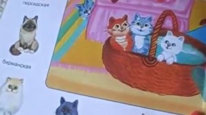 Книги серии школа семи гномов 2- 3 года.  Отзыв