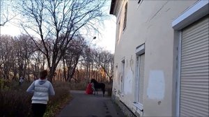 Усадьба Пехра -  Яковлевское Тайны Мистика Легенды Голицыны Собор Балашиха Московская область