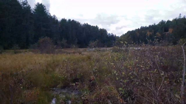 Самый большой парк ALGONQUIN PARK 🏞 Ontario | Жизнь в Канаде 🇨🇦